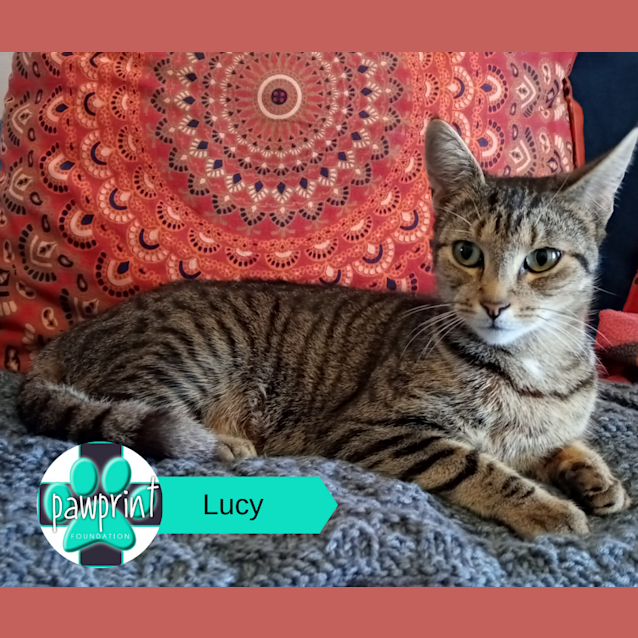 Photo of Lucy