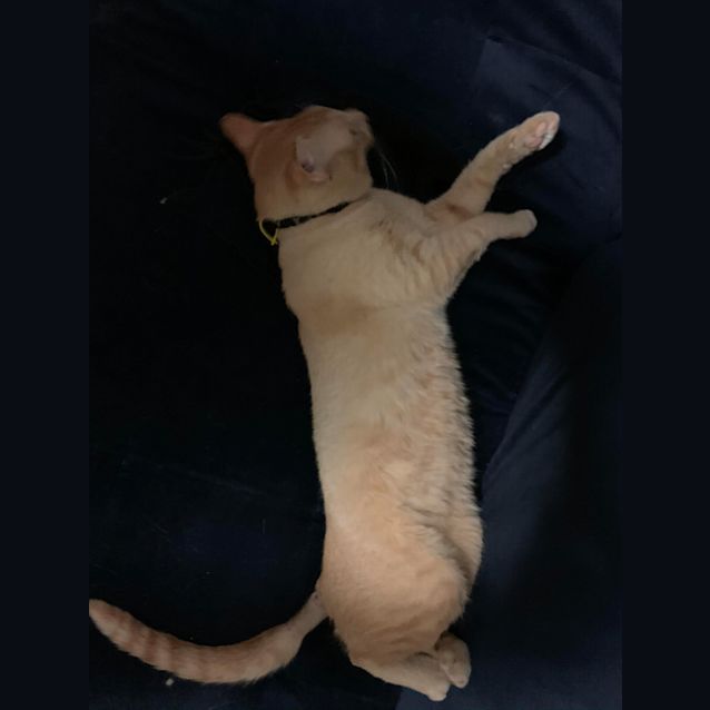 Photo of Saddy And Tucker