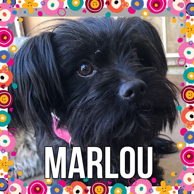 Photo of Marlou
