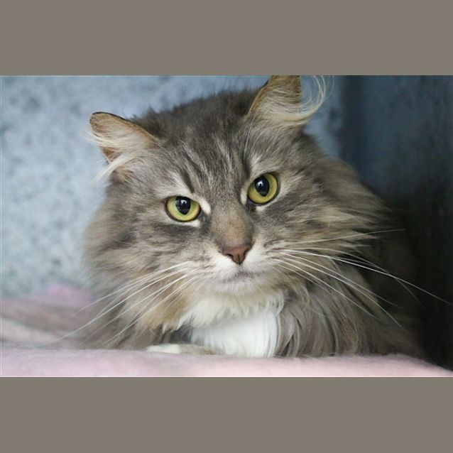 Photo of Bb