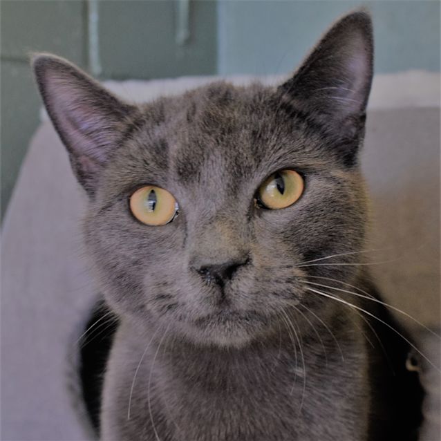 Photo of Winston