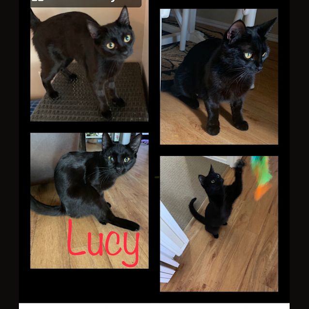 Photo of Lucy