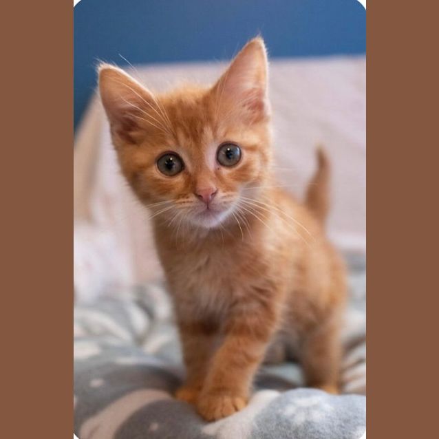 Photo of Calvin