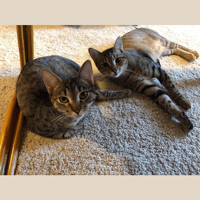 Photo of Xena & Leon 
