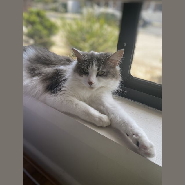 Photo of Asher 