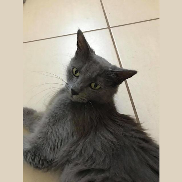 Photo of Belle