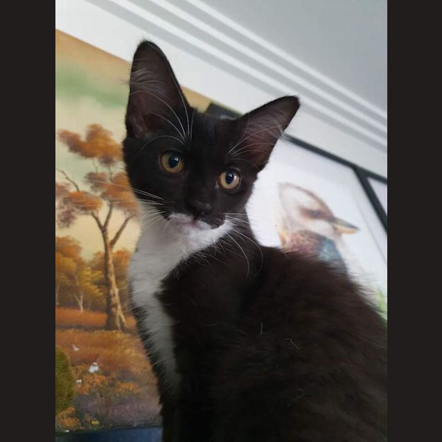 Photo of Lyra 