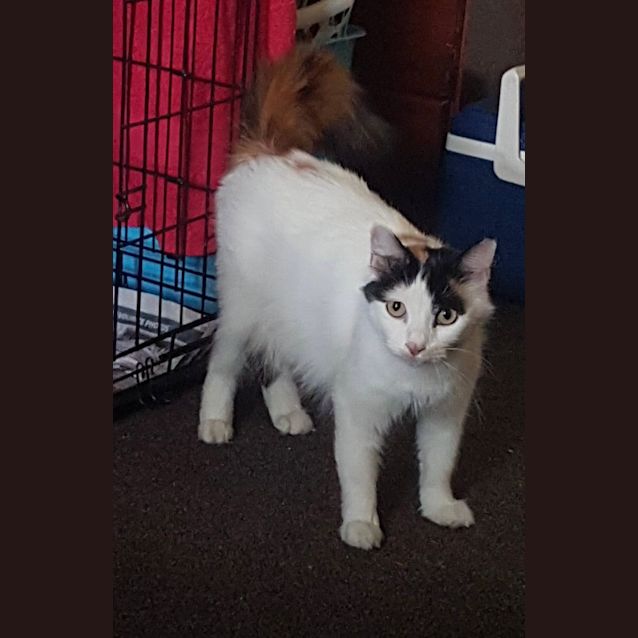 Photo of Missy 