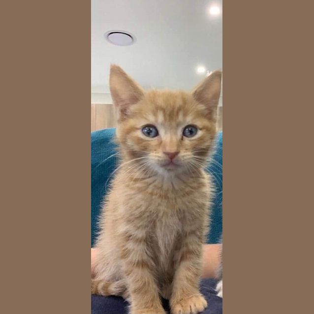 Photo of Jaffa 