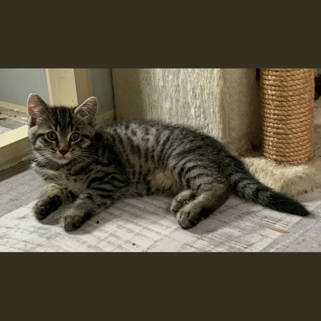 Photo of Asher