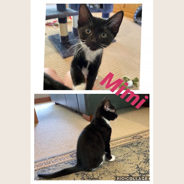 Photo of Mimi