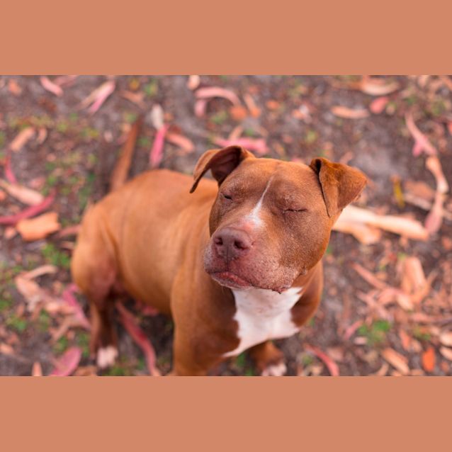 Photo of Freya Dl2546