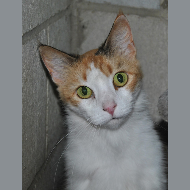 Photo of Betty