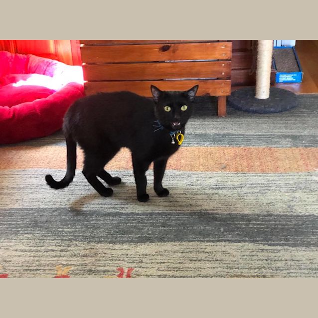 Photo of Salem