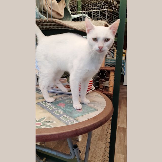 Photo of Frosty