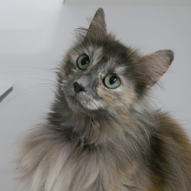 Photo of Betsy Rsta005482