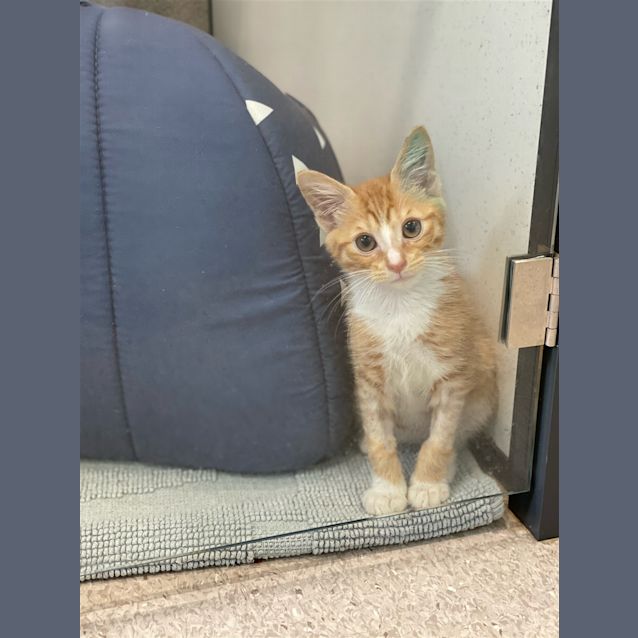 Photo of Extra