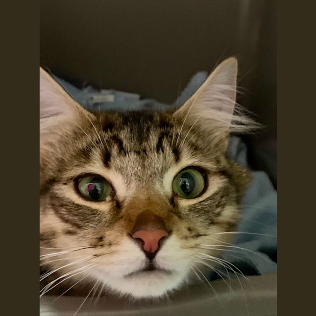Photo of Jasper