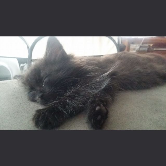 Photo of Spud