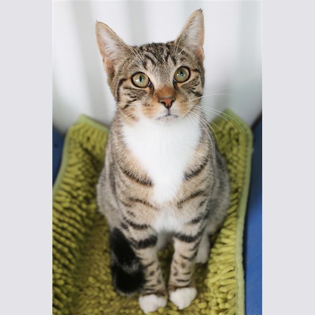 Photo of Arlo