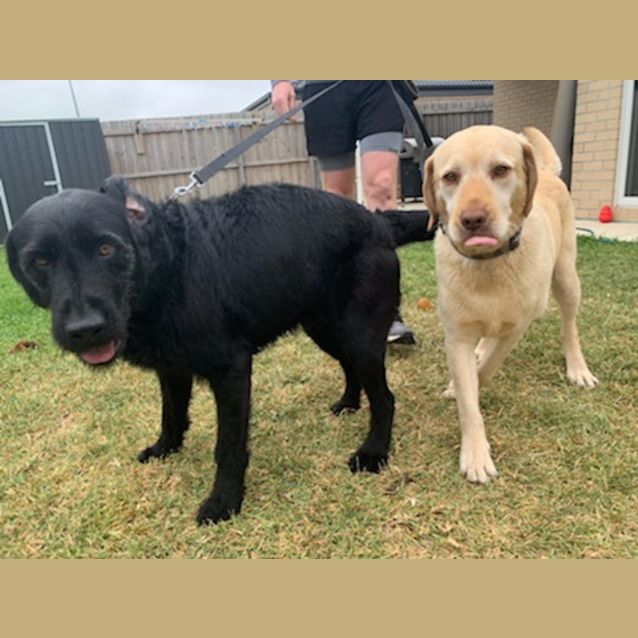 Photo of Peppa And Charlie