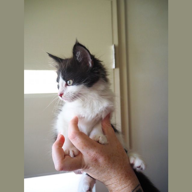 Photo of Genevieve & Egbert (On Trial 17/12/2020)