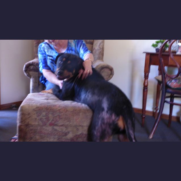 Photo of Faith Adoption Pending