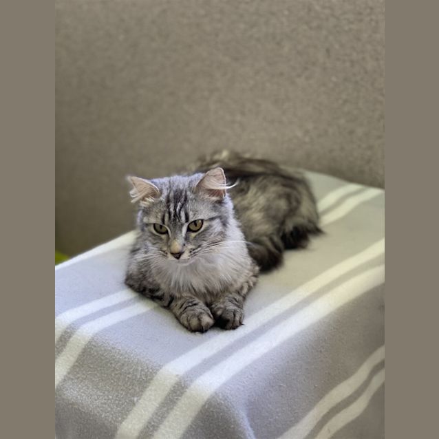 Photo of Hazel