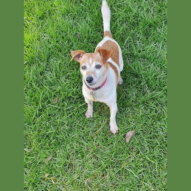 Photo of Missy