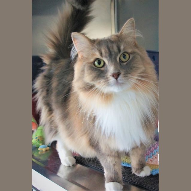Photo of Chloe