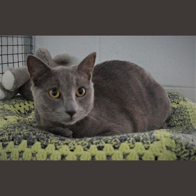 Photo of Phoenix