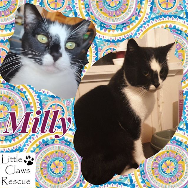 Photo of Milly