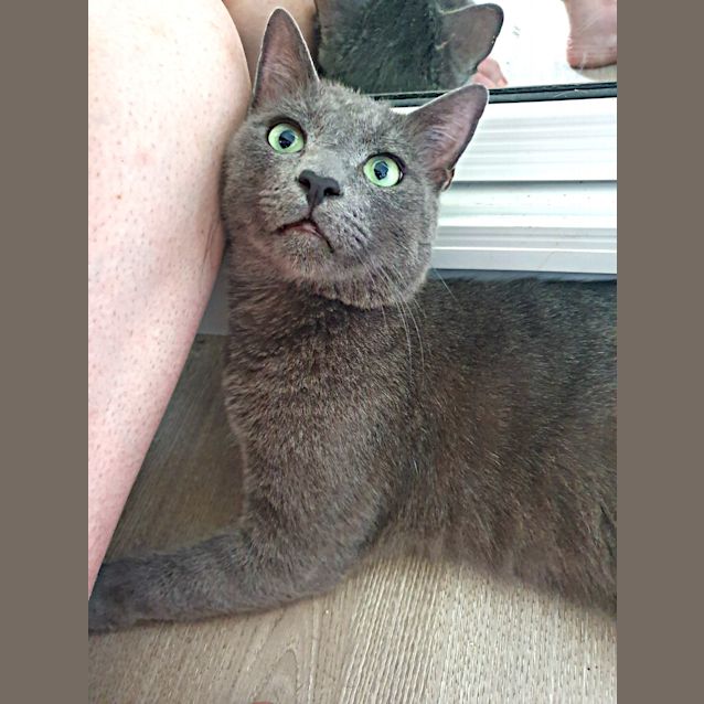 Photo of Tom