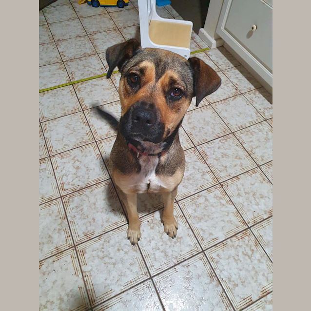 Photo of Daphne Dl2586