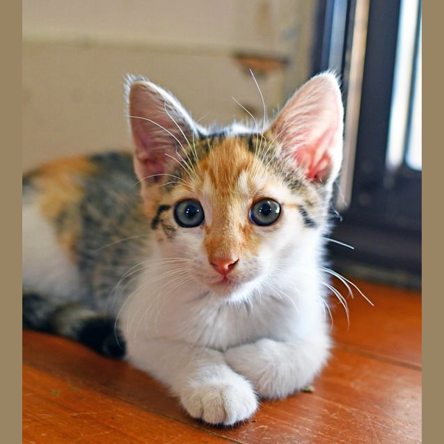 Photo of Molly