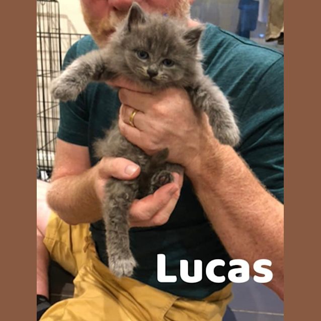 Photo of Lucas