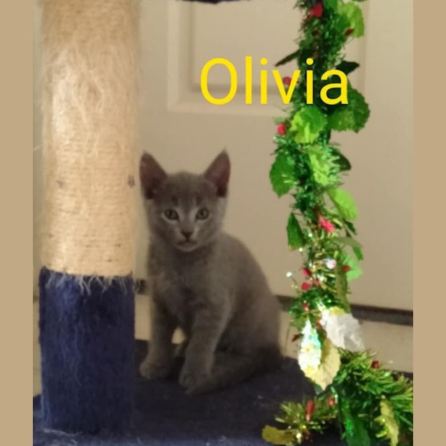 Photo of Olivia 