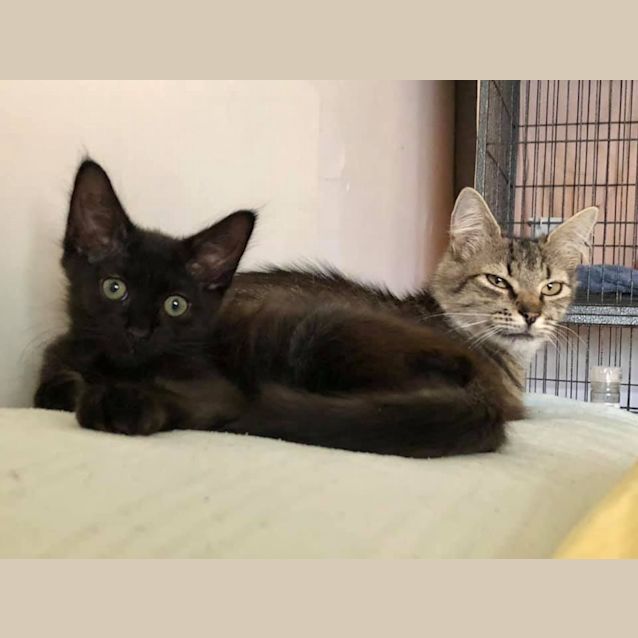 Photo of Juliette And Niki