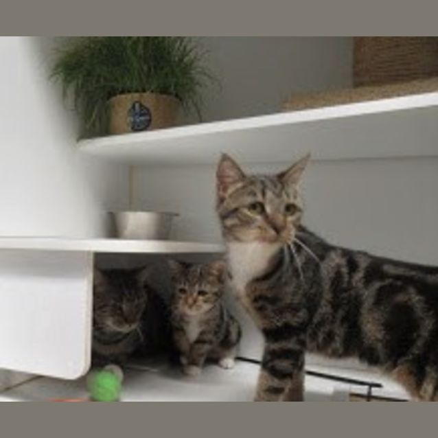 Photo of Mimi & Macy (Mum & Daughter)