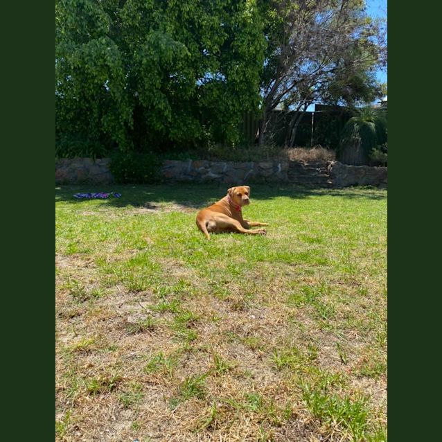 Photo of Gretel Dl2551