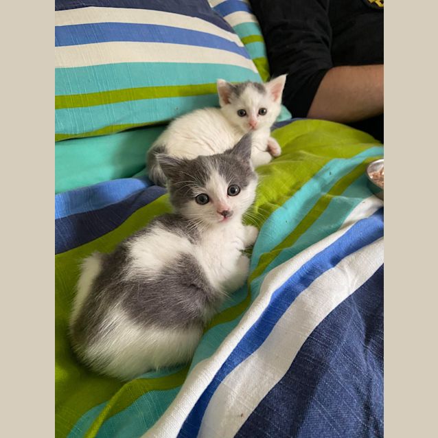 Photo of Anna & Elsa