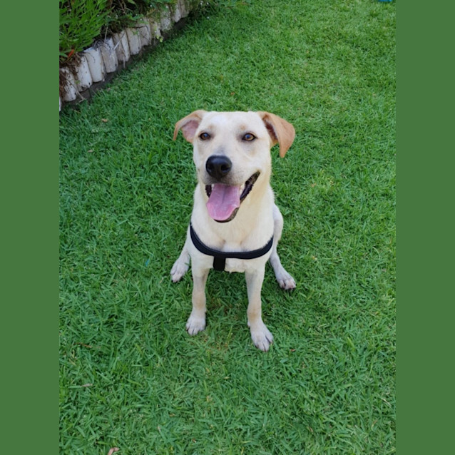 Photo of Sugar