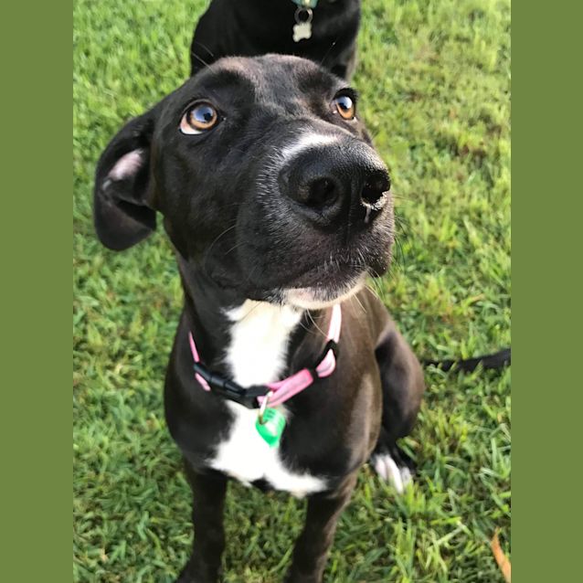 Photo of Coco 