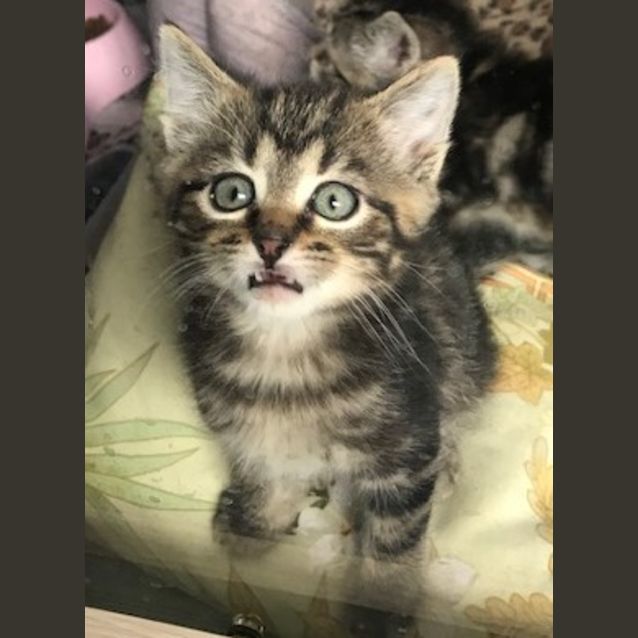 Photo of Bubbles