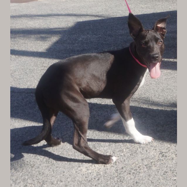 Photo of Thelma