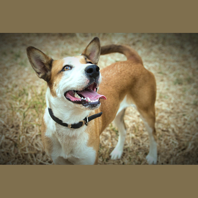 Photo of ♥ Barbie Girl ♥ ~ In My Barbie World