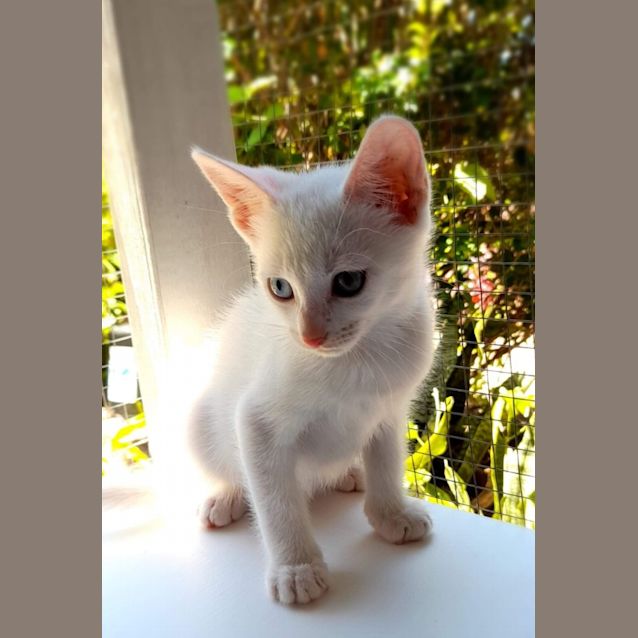 Photo of Winny