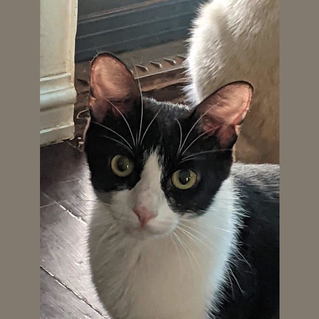 Photo of Kiki