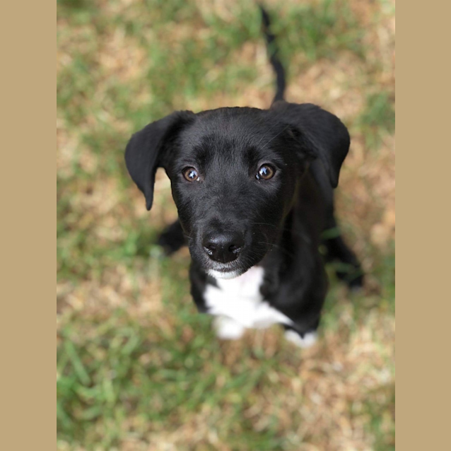 Photo of Zuko