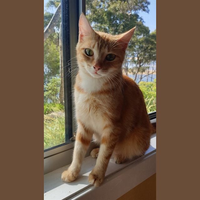 Photo of Annie
